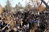 درگیری بر سر مزار رضا احدی