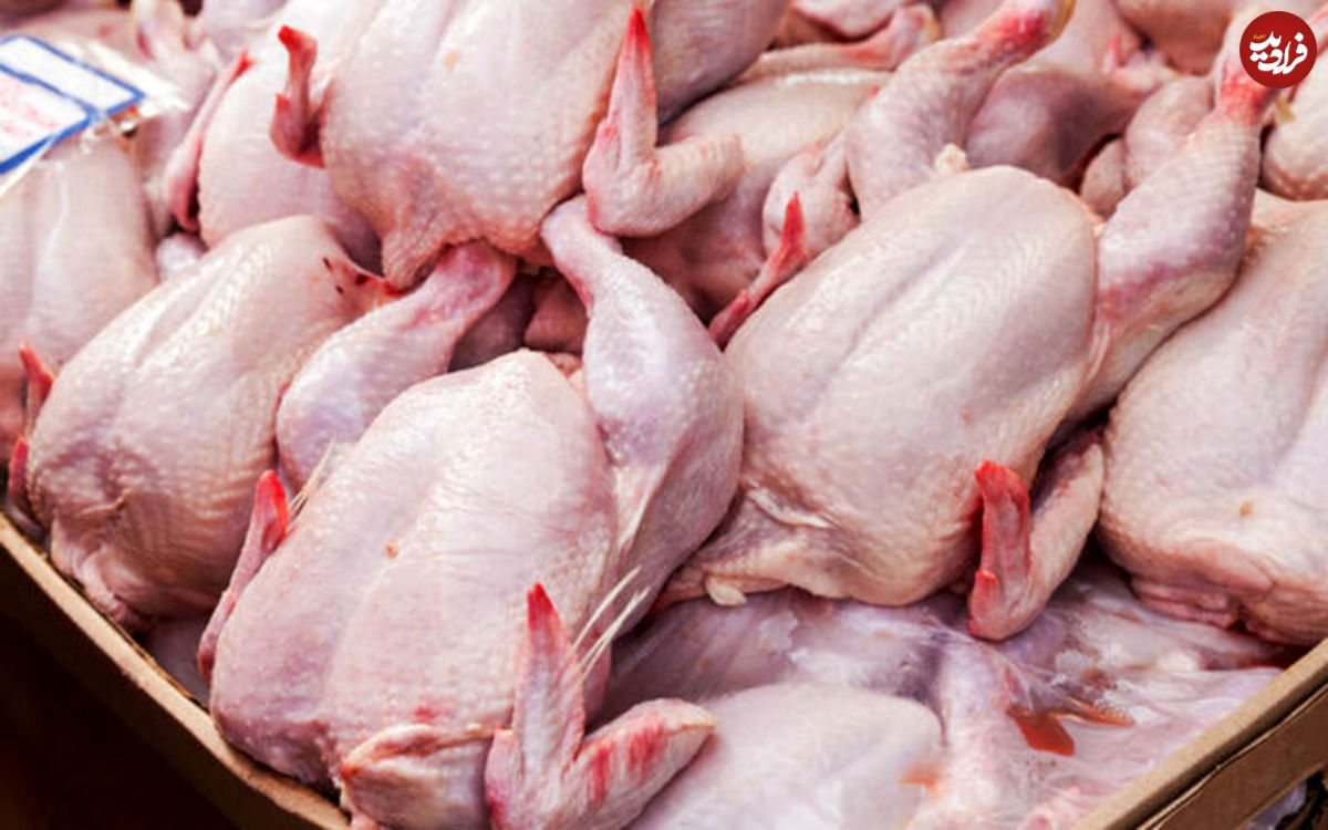 قیمت مرغ کیلویی ۸۰ هزار تومان می‌شود؟!