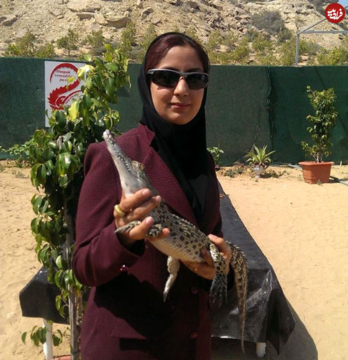 بانوی شجاع پرورش‌دهنده کروکودیل در ایران