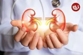 غذاهایی برای فیلتر کردن کلیه‌ها