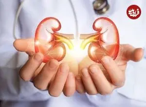 غذاهایی برای فیلتر کردن کلیه‌ها