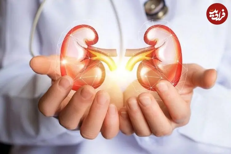 غذاهایی برای فیلتر کردن کلیه‌ها