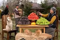 ببینید| غذای روستایی در آذربایجان؛ پخت دلمه بادمجان، گوجه فرنگی و فلفل