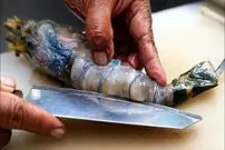 ببینید| غذای خیابانی در تایلند؛ پخت خوراک کاری با شاه میگوی رودخانه ای در بانکوک