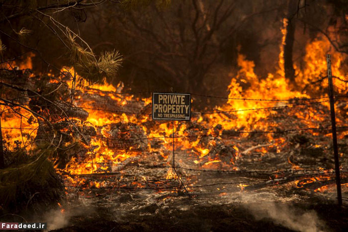(تصاویر) آتش‌سوزی گسترده در کالیفرنیا