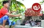 ببینید| غذای روستایی در هند؛ مراحل دیدنی تهیه کباب شاورما با 40 کیلوگرم گوشت گاو