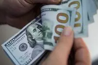 افزایش قیمت دلار بعد از سه هفته