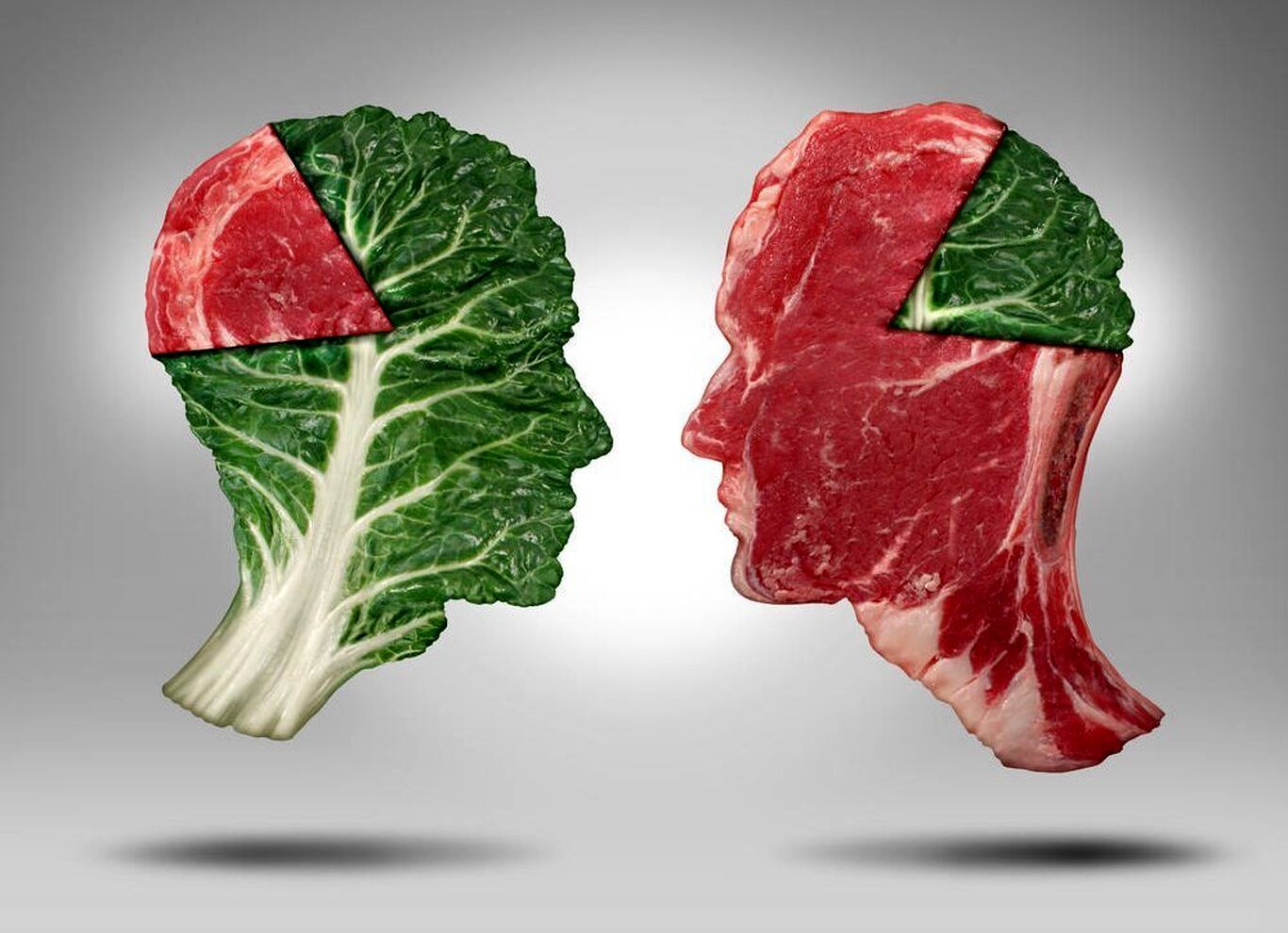 پروتئین گیاهی مفیدتر است یا حیوانی؟