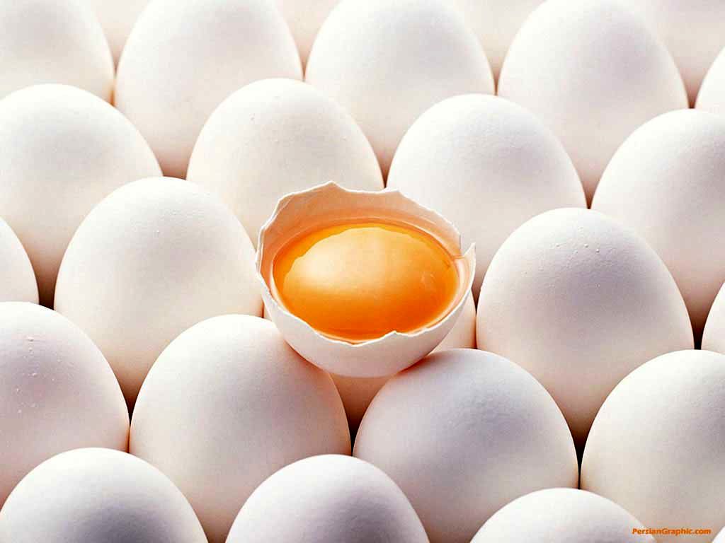 قیمت تخم‌مرغ؛ ۱۴ هزار و ۵۰۰ تومان