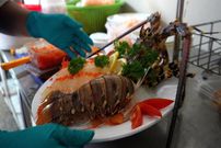 ببینید؛ غذای خیابانی در تایلند؛ مهارت آشپزها در پخت غذا با میگو، خرچنگ، صدف و ماهی مرکب در پوکت