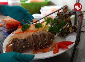 ببینید؛ غذای خیابانی در تایلند؛ مهارت آشپزها در پخت غذا با میگو، خرچنگ، صدف و ماهی مرکب در پوکت