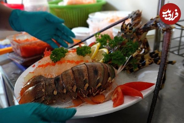 ببینید؛ غذای خیابانی در تایلند؛ مهارت آشپزها در پخت غذا با میگو، خرچنگ، صدف و ماهی مرکب در پوکت