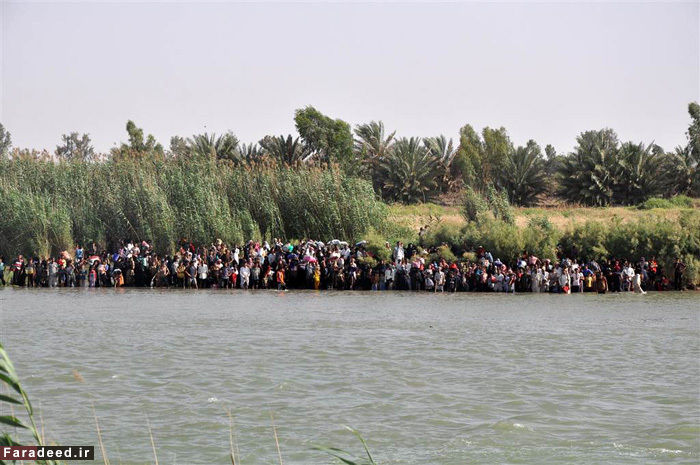 تصاویر/ فرار مردم فلوجه از چنگال داعش