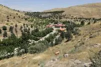 (تصاویر)  پارک جنگلی سرخه‌حصار شکارگاه دویست‌ساله تهران؛ از افعی شاخدار تا مار پلنگی