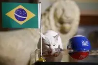 تصاویر منتخب هفته فرادید