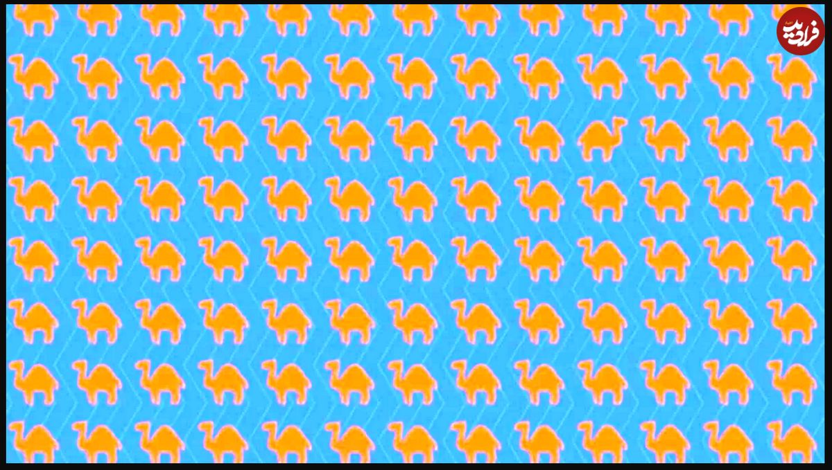 معمای توهم نوری جالب؛ آیا می‌توانید شتر متفاوت را در ۷ ثانیه پیدا کنید؟