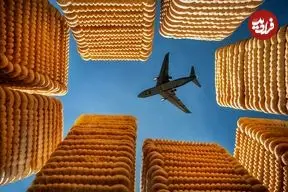 تصاویر؛ برندگان جایزۀ «عکاسی غذا» در سال 2026