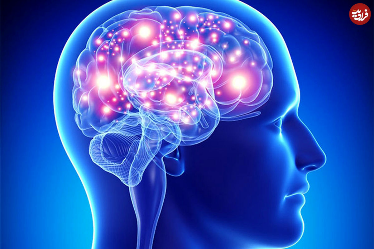 چگونه مغزمان را جوان نگه داریم؟