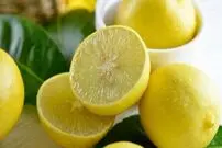 خواص بی‌نظیر لیموشیرین که نمی‌دانستید
