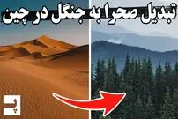 (ویدئو) ببینید چینی ها چگونه بیابان های خود را به جنگل تبدیل می کنند