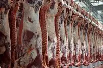 خطر"سندروم آنفلوآنزا" در تابستان