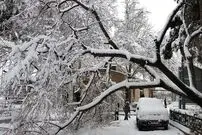 (ویدئو) تصاویری از بارش شدید برف در مشهد