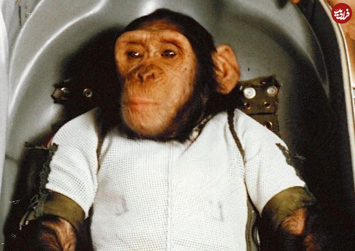امروز در فضا: شامپانزه‌ای به‌نام هام به فضا پرتاب شد
