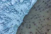 (تصاویر) نماهایی ناب از طبیعت که مدهوش‌تان می‌کند