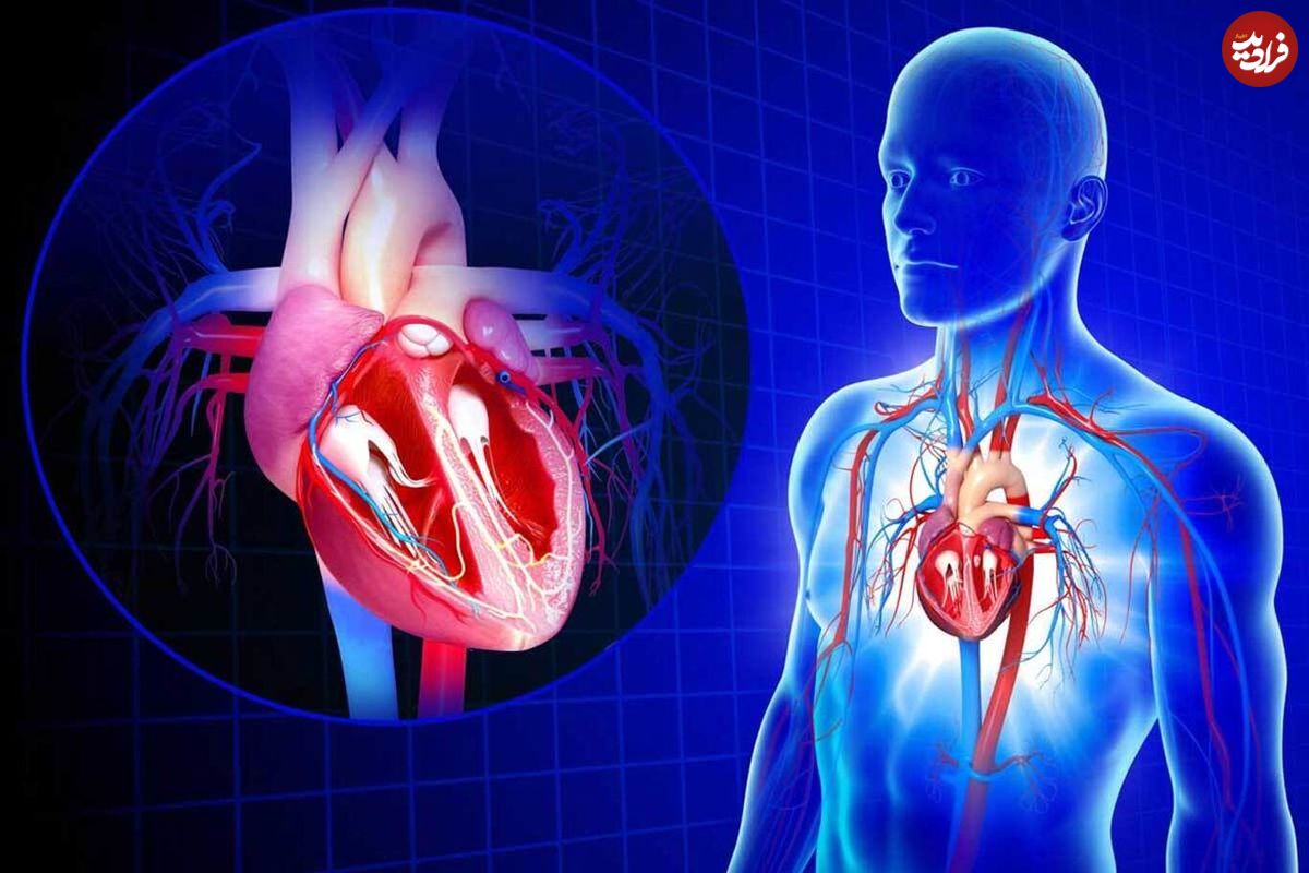 هر آنچه که باید در مورد بیماری تنگی دریچه آئورت بدانید!
