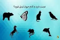 حیوان مورد علاقه تان را انتخاب کنید تا ببینید چقدر قدرت دارید!