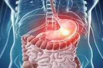 ( ویدیو) انیمیشن جالبی از عملکرد دستگاه گوارش و مراحل هضم غذا 