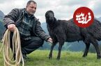 ببینید؛ غذای روستایی در آذربایجان؛ کباب بره و پخت نان تنوری در طبیعت