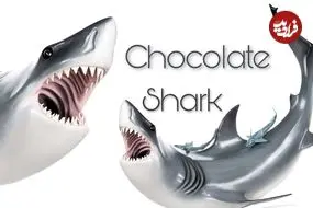 ببینید| ساخت کوسه سفید بزرگ با 68 کیلوگرم شکلات خالص