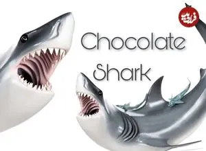 ببینید| ساخت کوسه سفید بزرگ با 68 کیلوگرم شکلات خالص