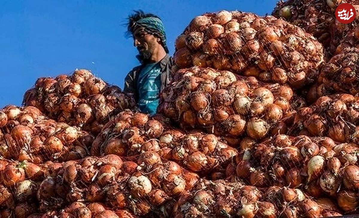 (عکس) قیمت پیاز گران شد!