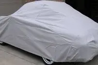(ویدئو) سرقت عجیب چادر خودرو در خیابان!