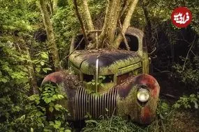 تصاویر؛ زیبایی وهم‌آلود خودروهایی که به تصرف طبیعت درآمده‌اند