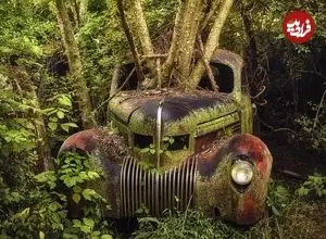 تصاویر؛ زیبایی وهم‌آلود خودروهایی که به تصرف طبیعت درآمده‌اند