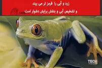 ویدیو/ کسانی که کور رنگی دارند، جهان را چگونه می‌بینند؟