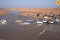 (ویدئو) ذوق‌زدگی عربستانی‌ها از جاری شدن سیل در وادی الرمه