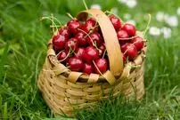 مصرف این ۵ میوه و آجیل شما را از بی‌خوابی نجات می‌دهد