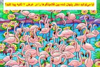 بازی فکری: آیا می‌توانید دختر پنهان شده بین فلامینگو‌ها را در عرض ۷ ثانیه پیدا کنید؟