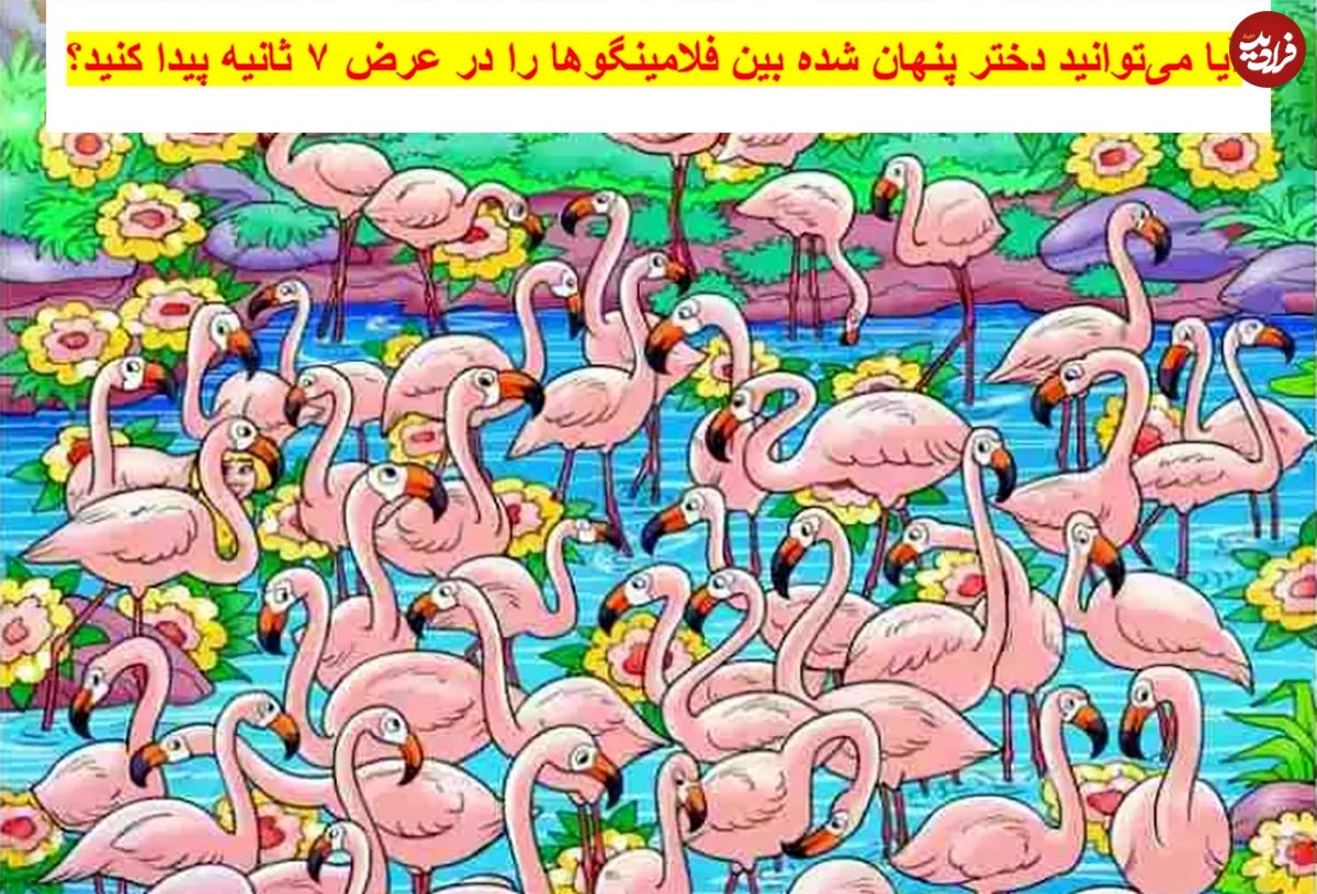 بازی فکری: آیا میتوانید دختر پنهان شده بین فلامینگوها را در عرض ۷ ثانیه پیدا کنید؟