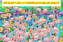بازی فکری: آیا می‌توانید دختر پنهان شده بین فلامینگو‌ها را در عرض ۷ ثانیه پیدا کنید؟