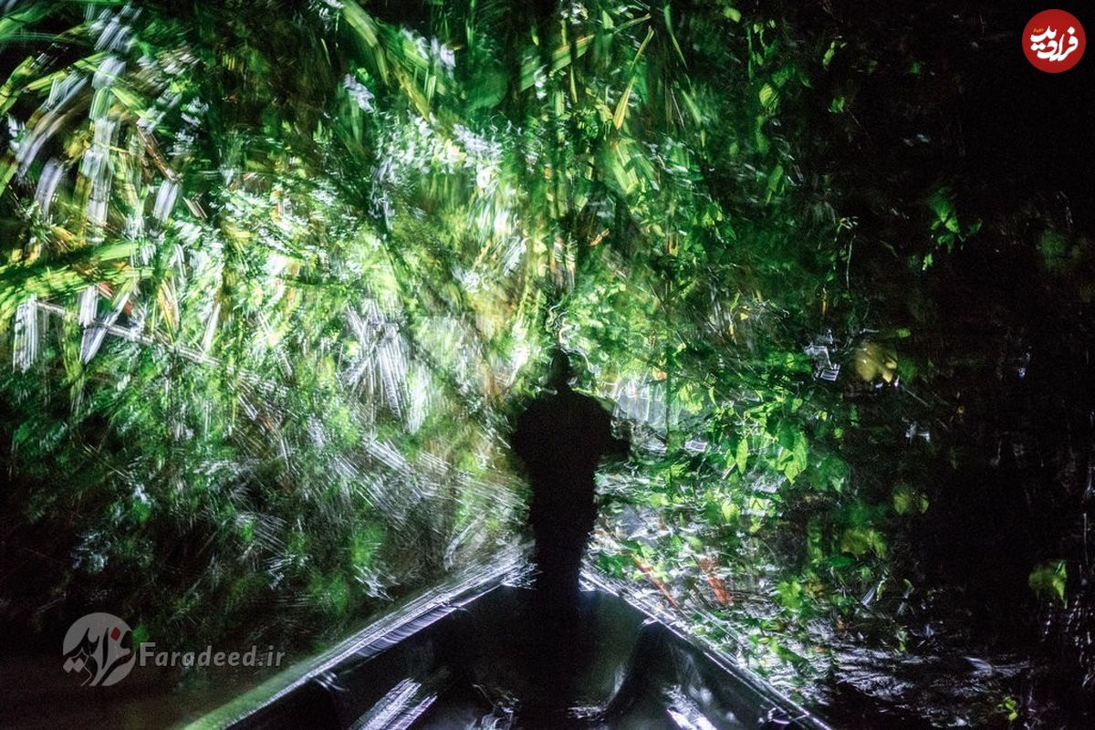 تصاویر/ سه سال زندگی در قلب جنگل‌های آمازون