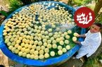 ببینید؛ غذای روستایی در پاکستان؛ مراحل دیدنی تهیه 200 لیتر آب طالبی
