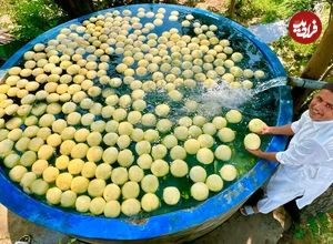 ببینید؛ غذای روستایی در پاکستان؛ مراحل دیدنی تهیه 200 لیتر آب طالبی