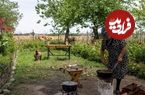 ببینید؛ غذای روستایی در آذربایجان؛ پخت کوکوی بادمجان در طبیعت