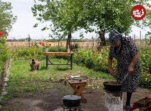 ببینید؛ غذای روستایی در آذربایجان؛ پخت کوکوی بادمجان در طبیعت