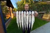 ببینید| غذای روستایی در روسیه؛ کباب ماهی کفال در روستا